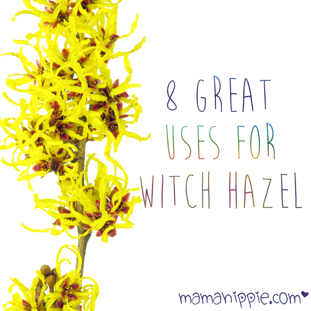 8 Great Uses for Witch Hazel