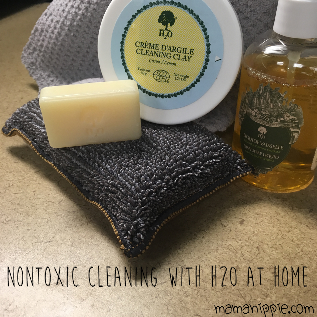Nontoxic Cleaning with H20 at Home - Mama Hippie