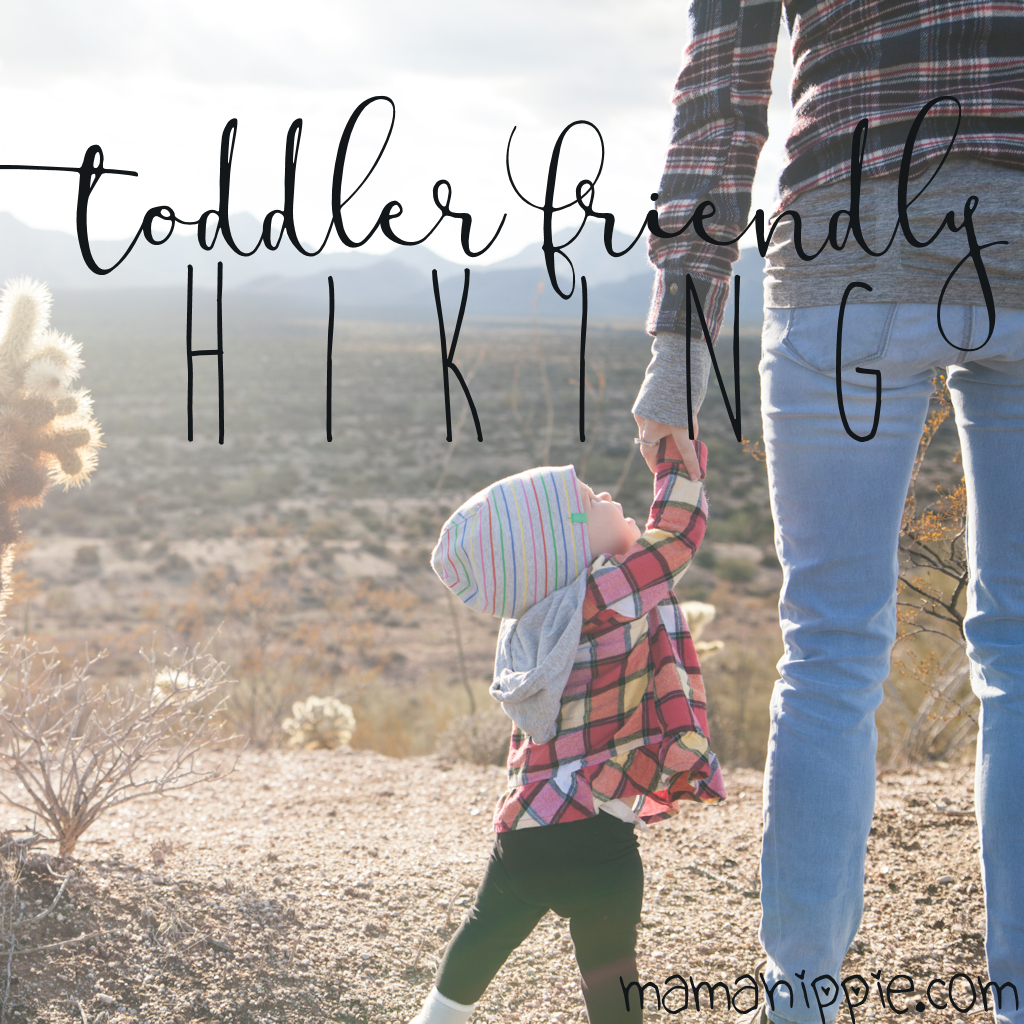 3 Easy Tips for Toddler Friendly Hiking